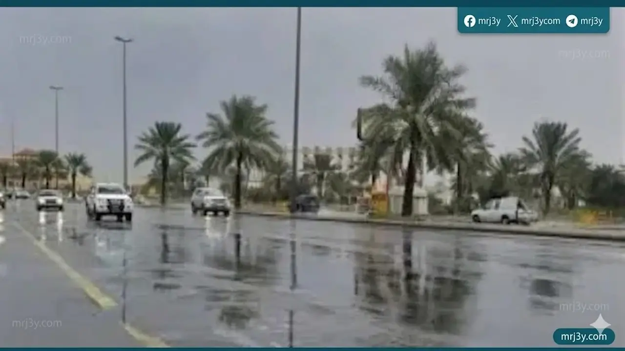 تحذير الأرصاد: أمطار وسحب رعدية ورياح مثيرة للأتربة تضرب القاهرة خلال الساعات القادمة